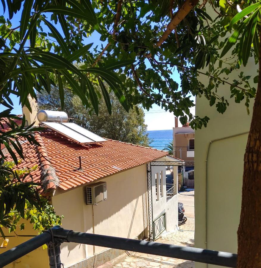 Ellinas Hotel Chrysi Ammoudia Ngoại thất bức ảnh